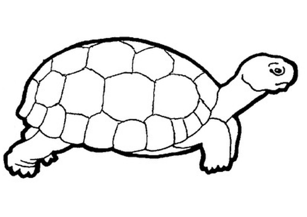 Minimalist artwork of a cute tortoise on Craiyon