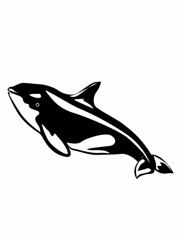 Killer Whale Or Orca Coloring Online Super Coloring 159729 Orca 