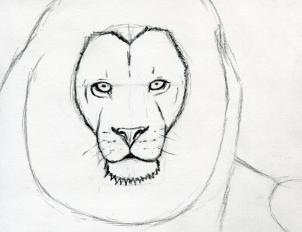 Free Lion Head Drawing, Download Free Lion Head Drawing png images ...