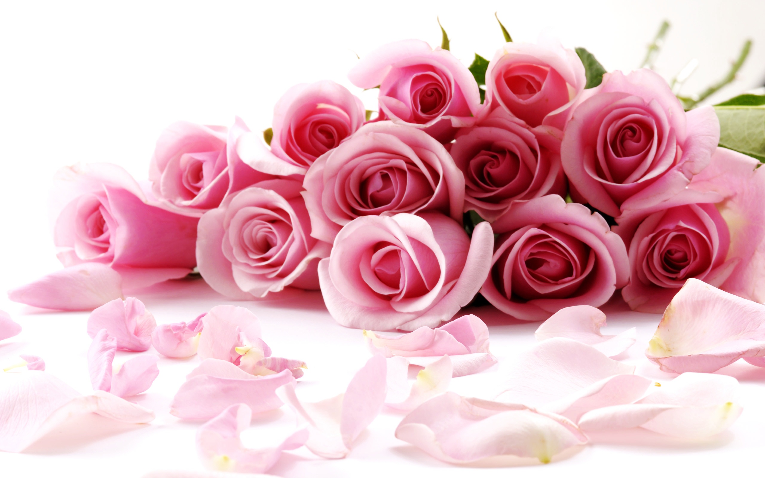 Elegant Pink Roses Bouquet - Symbol of Love and Grace