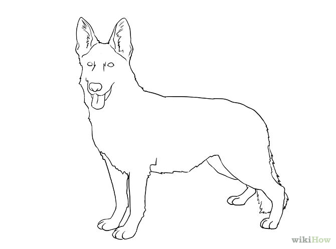 Free Drawing Dogs Pictures, Download Free Drawing Dogs Pictures png ...
