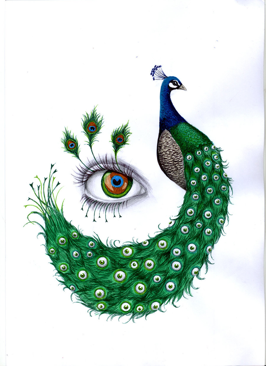 How to Draw a Peacock with Open Feathers (Step-by-Step) Easy & Realistic
