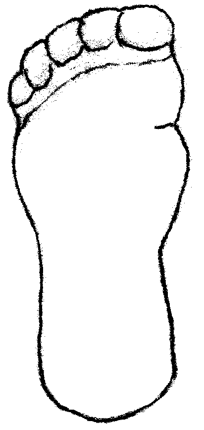 Simple Black And White Foot Outline - Clipart library