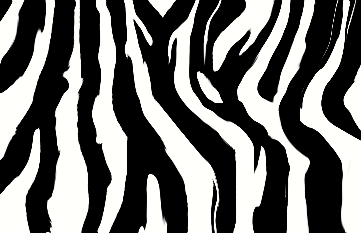 Zebra Print Background #6841261