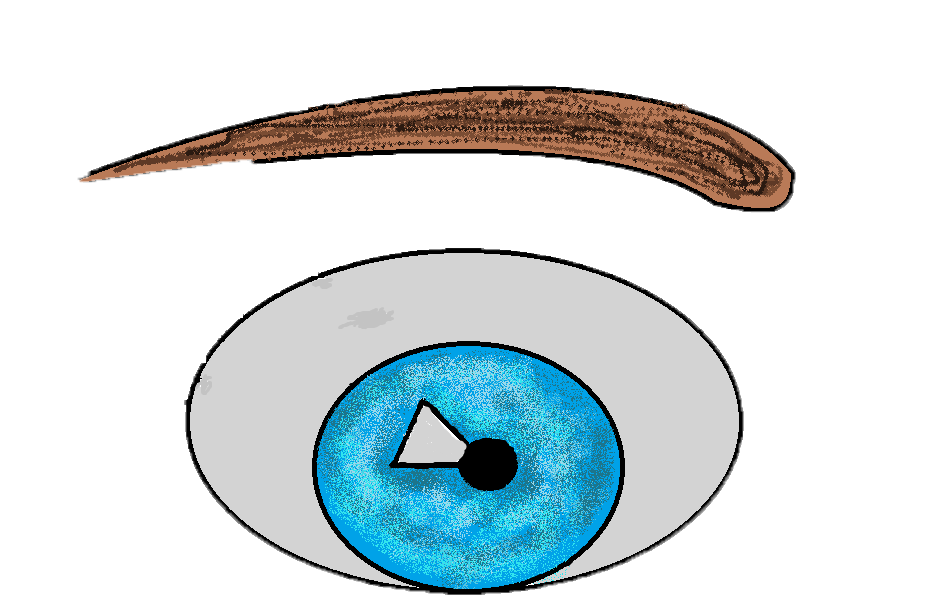 Illustrated human eye with blue iris, black pupil, white sclera, and brown eyebrow above.