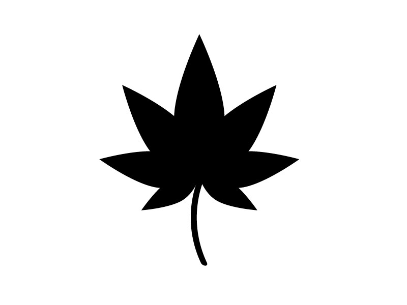 How to Create Maple Leaf Illustration