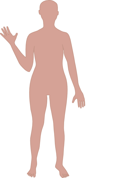 Free image Human Body Outline Printable drawing [800x1139]