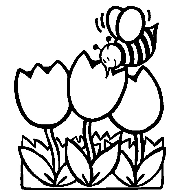 Nature Seasons Pictures  Spring clipart and Spring coloring pages 