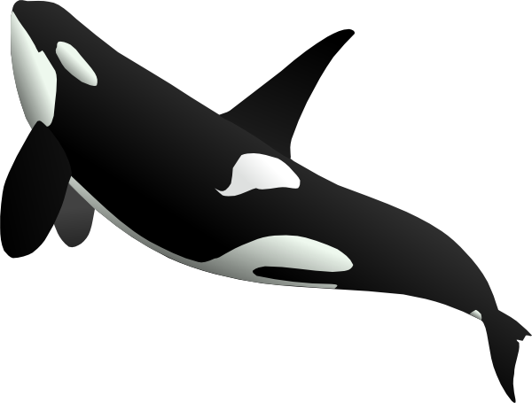 Ascending Whale Clip Art at Clipart library - vector clip art online 