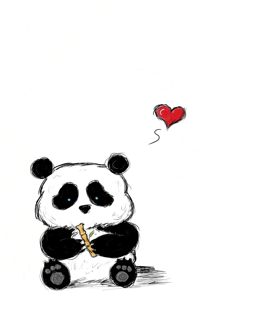 cute baby panda sketch