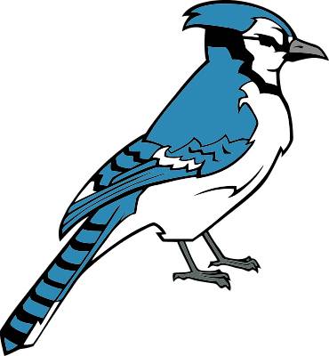Head Clipart Blue Jay, Head Blue Jay Transparent Free - Blue Jay Clipart  Black And White, HD Png Download - vhv