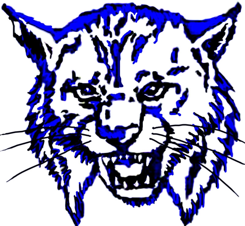Wildcat Symbol