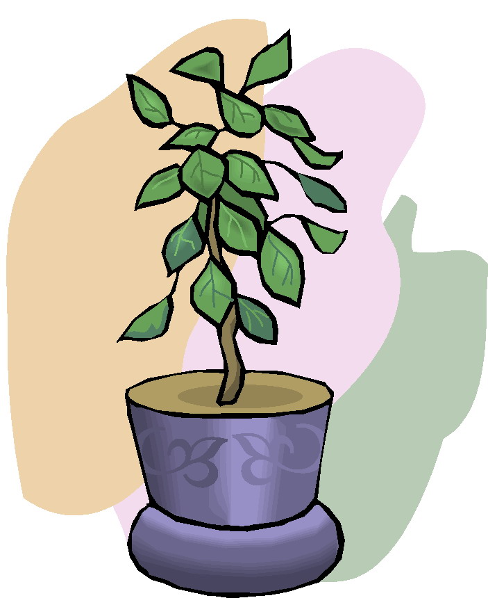 A potted green leafy plant in a decorative purple ceramic pot with abstract pastel background.