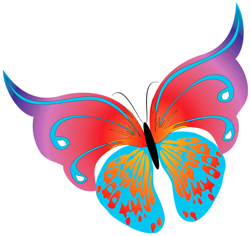 Painted Transparent Butterfly PNG Clipart
