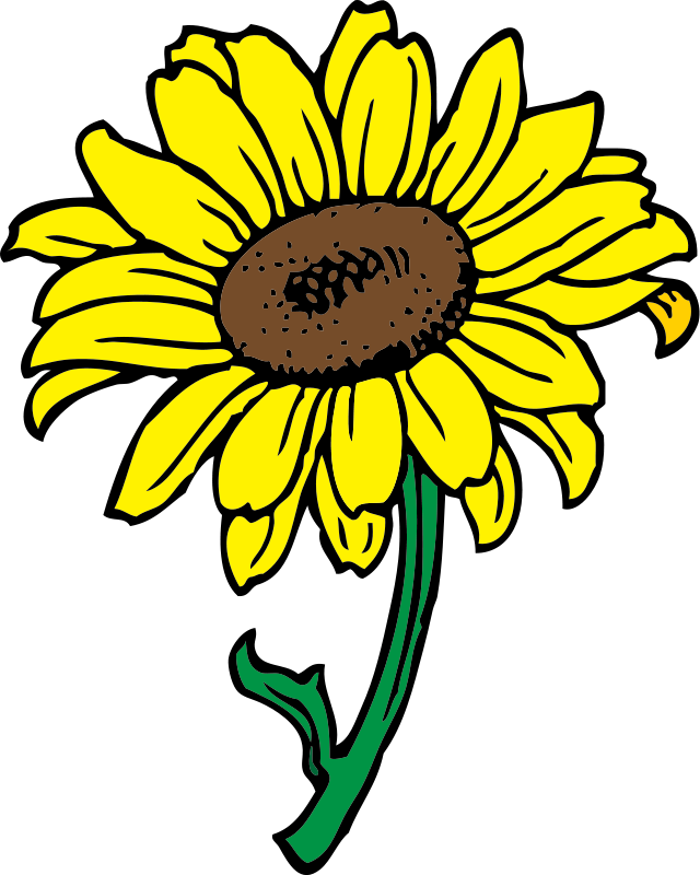 Sunflower Clipart Royalty Free Flower Pictures | Clipart Pictures Org