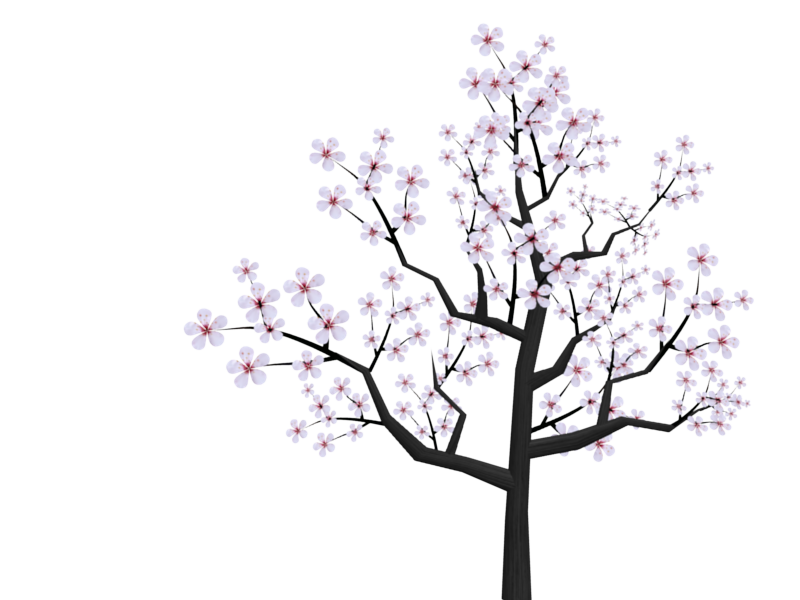 Cartoon Cherry Blossom 