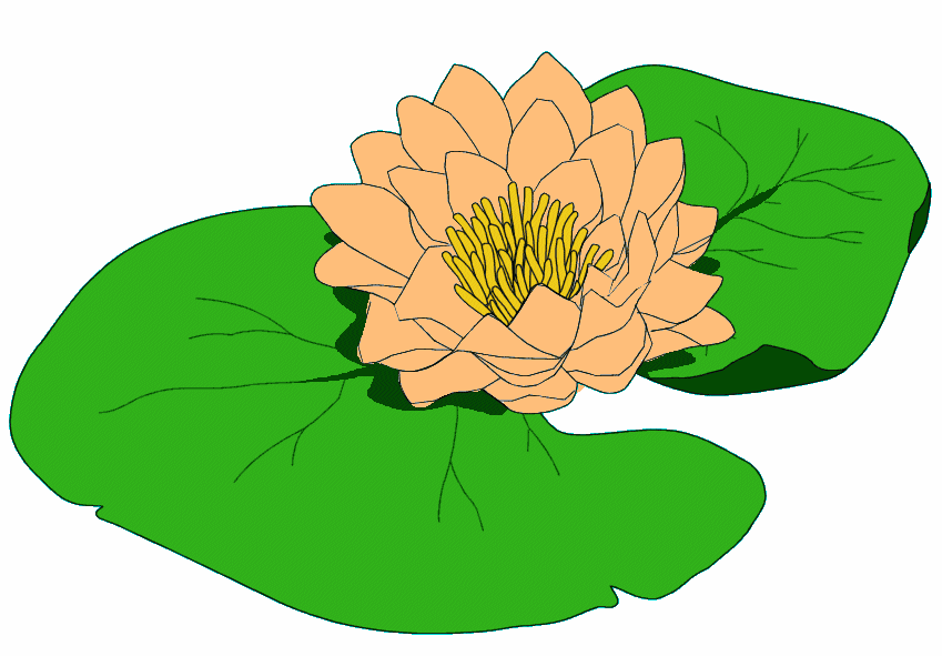 All Cliparts: Water Lily Clipart - Clipart library - Clipart library