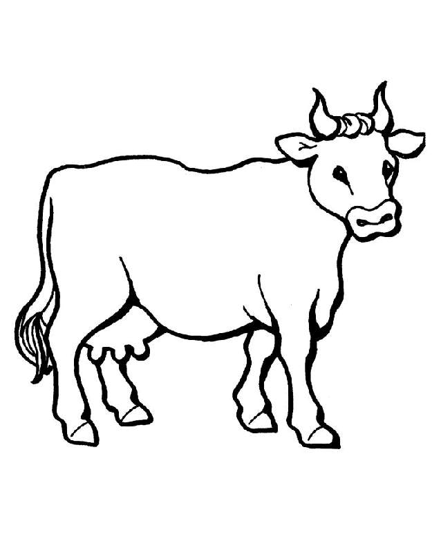 Cute Cow Coloring Pages For Kids   E Greetings And Graphics on 