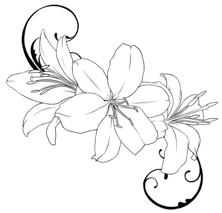 Premium Vector | Hand drawn flowers bouquet wildflowers set botanical floral  leaves tattoo doodle outline drawings