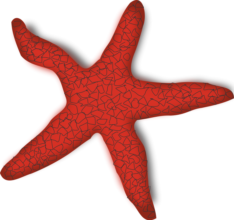 Starfish Clip Art Download