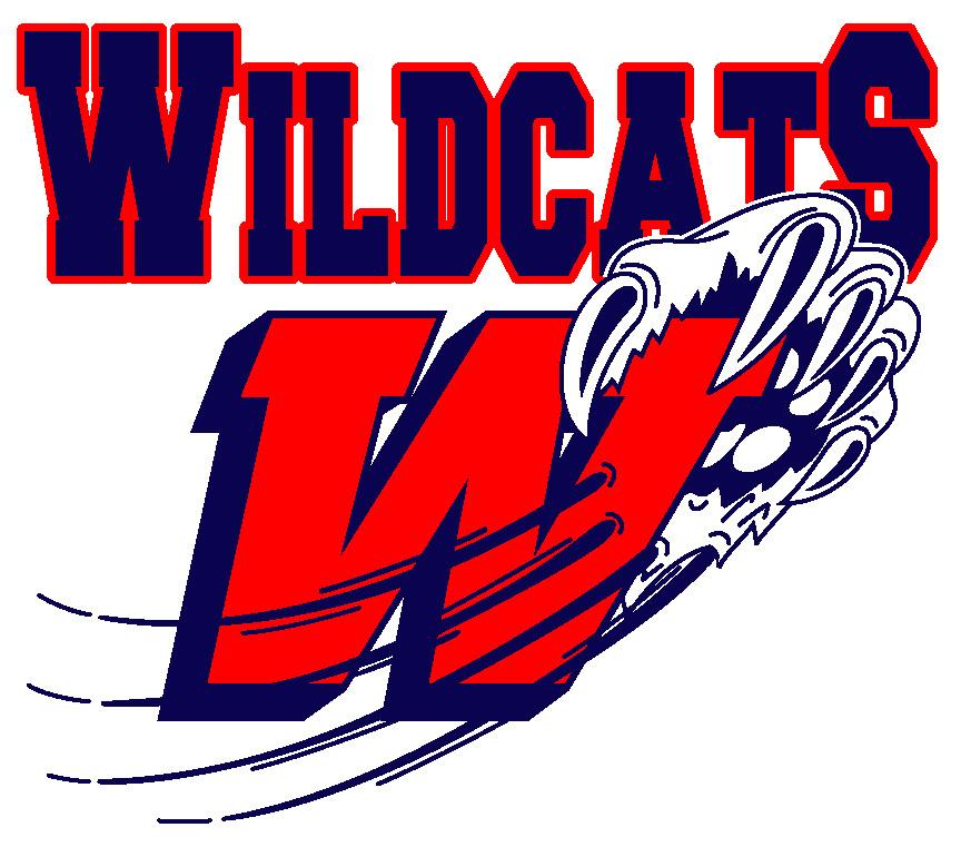 Eastern States Hockey League: Wildcats solve goaltending mystery 