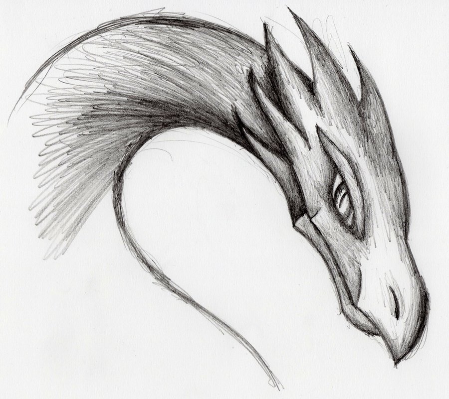 Portrait of a fantasy dragon sketch Royalty Free Vector