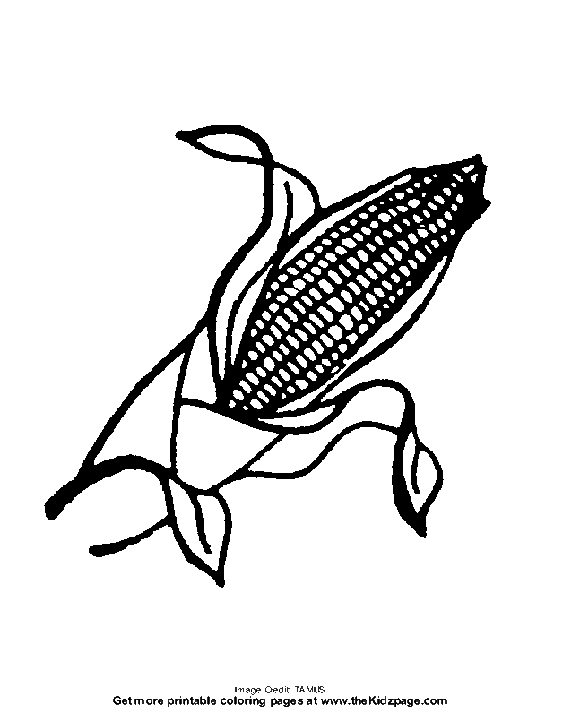Corn on the Cob - Free Coloring Pages for Kids - Printable 
