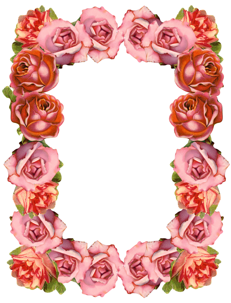 Rose Border Vector Art, Icons, and Graphics for Free Download