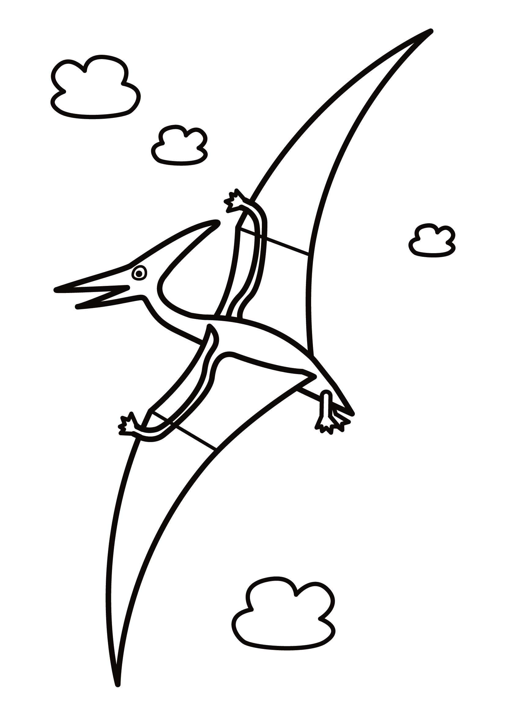 Птеранадон. Летающий динозавр раскраска для детей. Летающие динозавры раскраска. Раскраска динозавры птеродактиль. Птеранодон раскраска для детей.