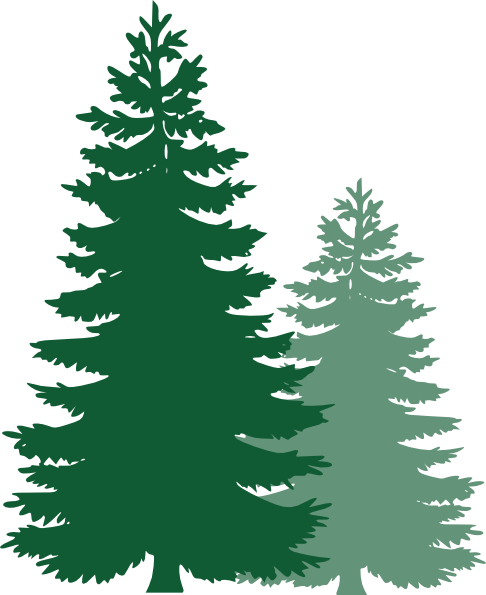 Pine Trees clip art - vector clip art online, royalty free 