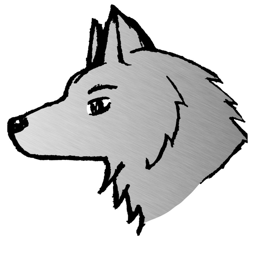 gray wolf drawing