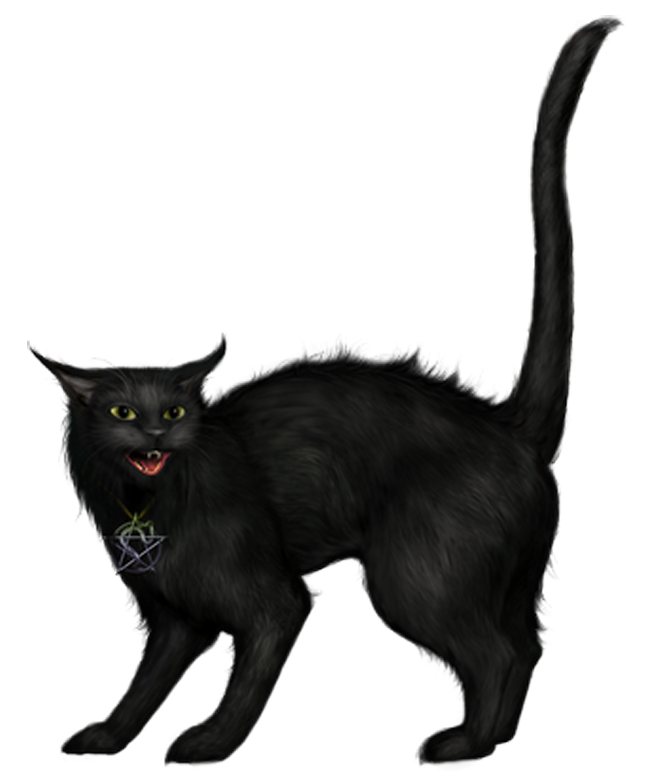 Creepy Black Cat PNG Picture