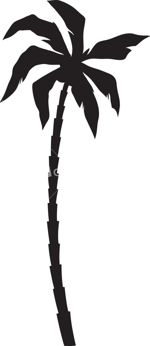 80s vector palm tree - Clip Art Library