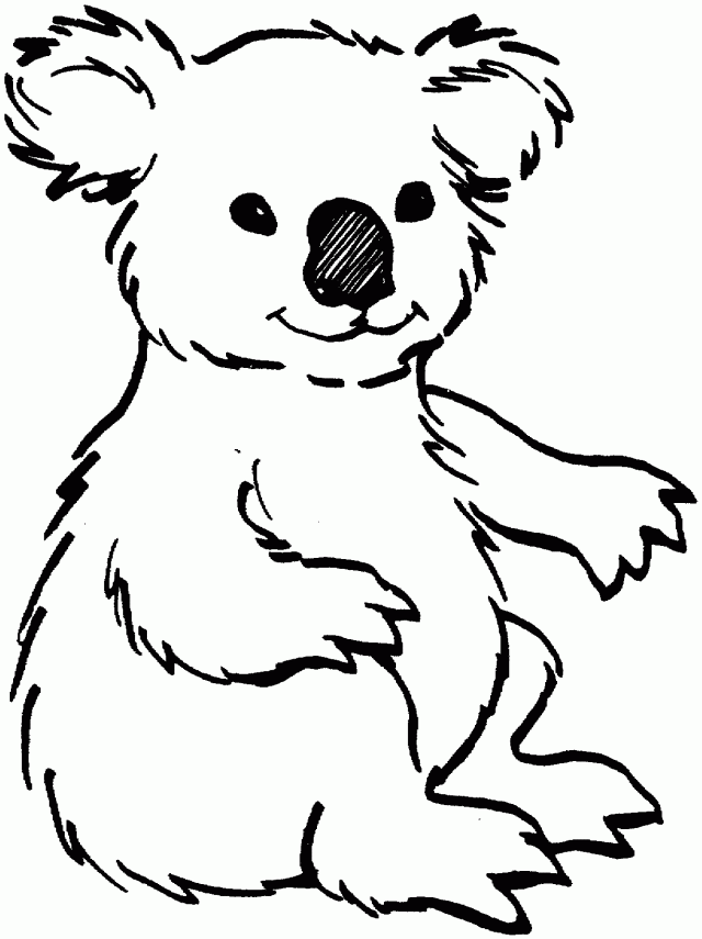 Koala Bear Coloring Pages Www Canrest Com Coloring Pages Garden 