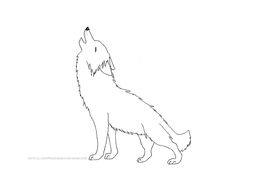 Wolf Howl Outline by xWolfPackLeaderx on Clipart library