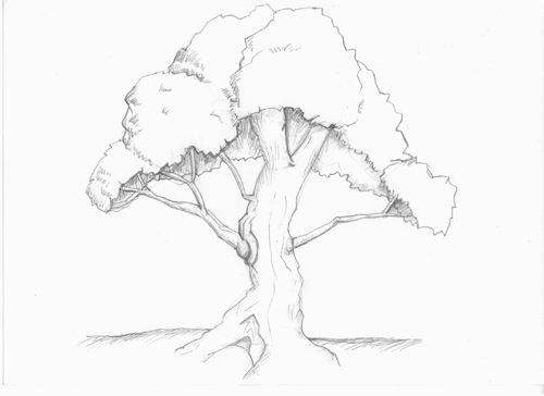 Tree Drawing with Walnut Ink — Alan Li