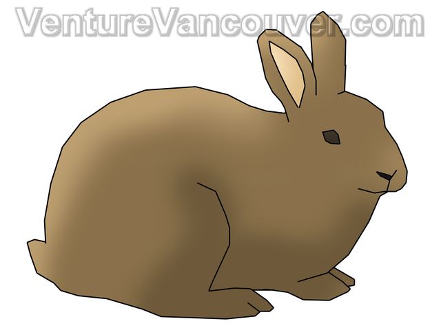 Brown rabbit illustration in side profile, sitting calmly with upright ears and soft shading.