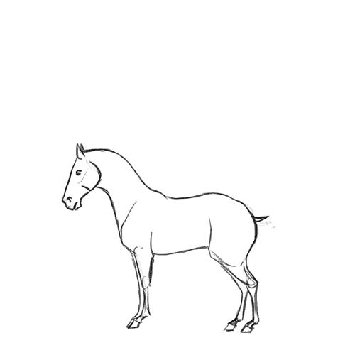 Animated horse on Behance