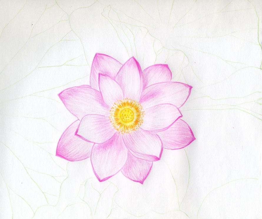 How to Draw Lotus Flower Step by step easy drawing for kids and beginners.  | Lotus drawing, Flower drawing images, Lotus flower drawing