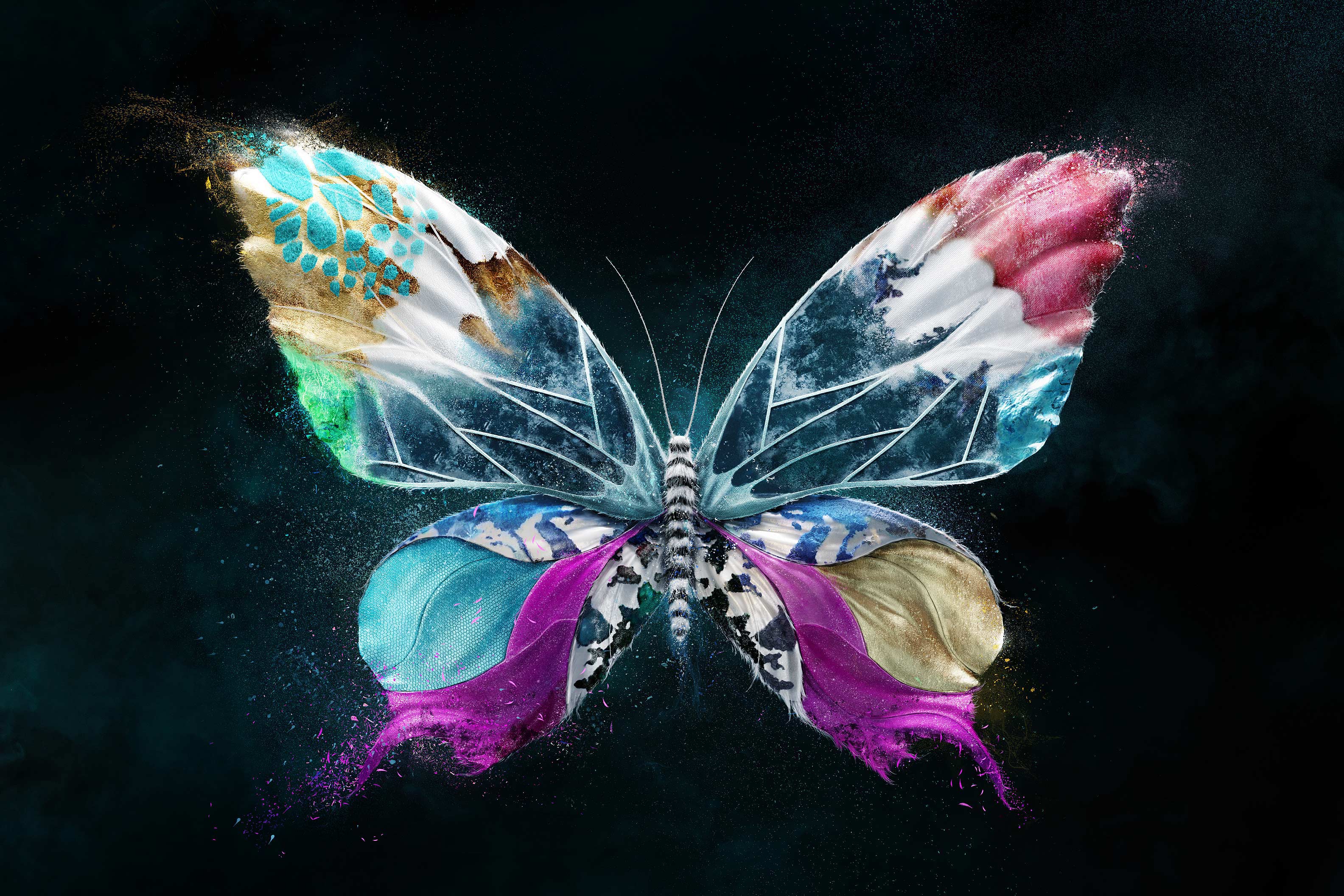 Butterfly Art | Free Download Clip Art | Free Clip Art | on Clipart Library