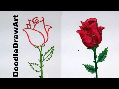 How to Draw Roses for Kids | Rose drawing simple, Easy flower drawings, Roses  drawing