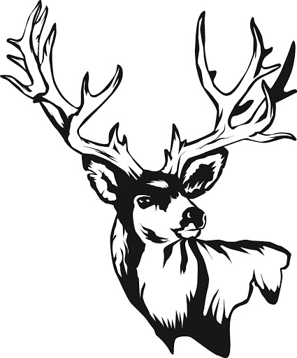 Deer Skull Drawings - Clipart library