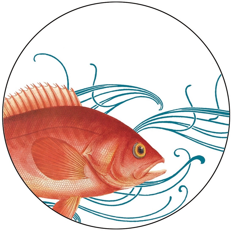 Red Rockfish Illustration - Marine Life Art & Aquatic Design