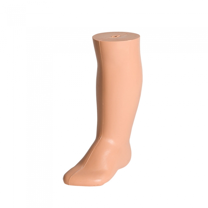 Anatomical Foot and Lower Leg Model for Medical Training