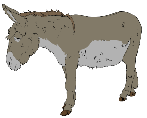 A side-profile illustration of a gray donkey with white underbelly and muzzle, standing against a black background.