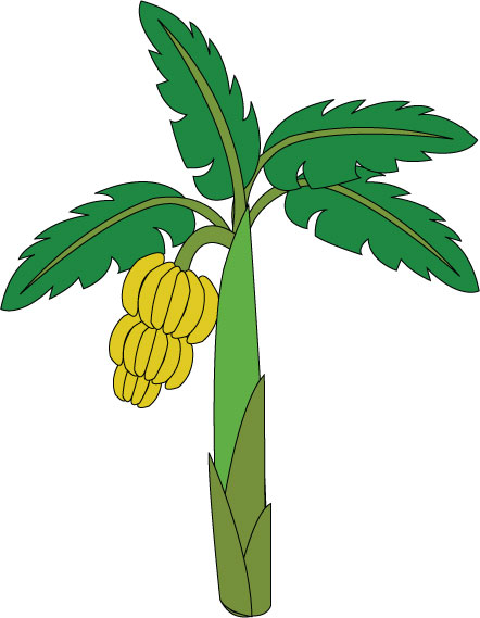 Clip Art Banana Tree 