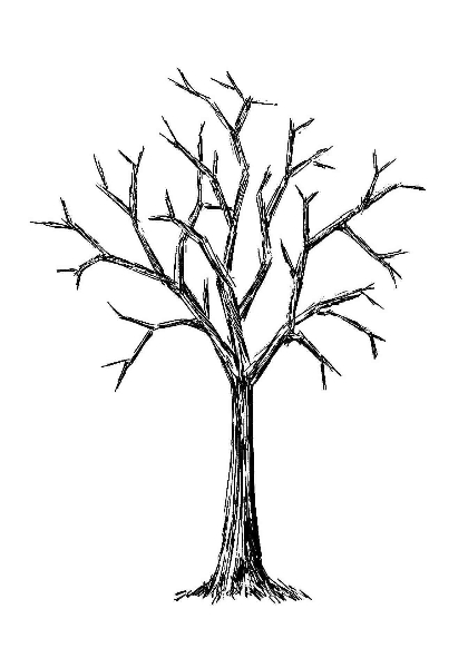 Bare Tree Images - Clipart library