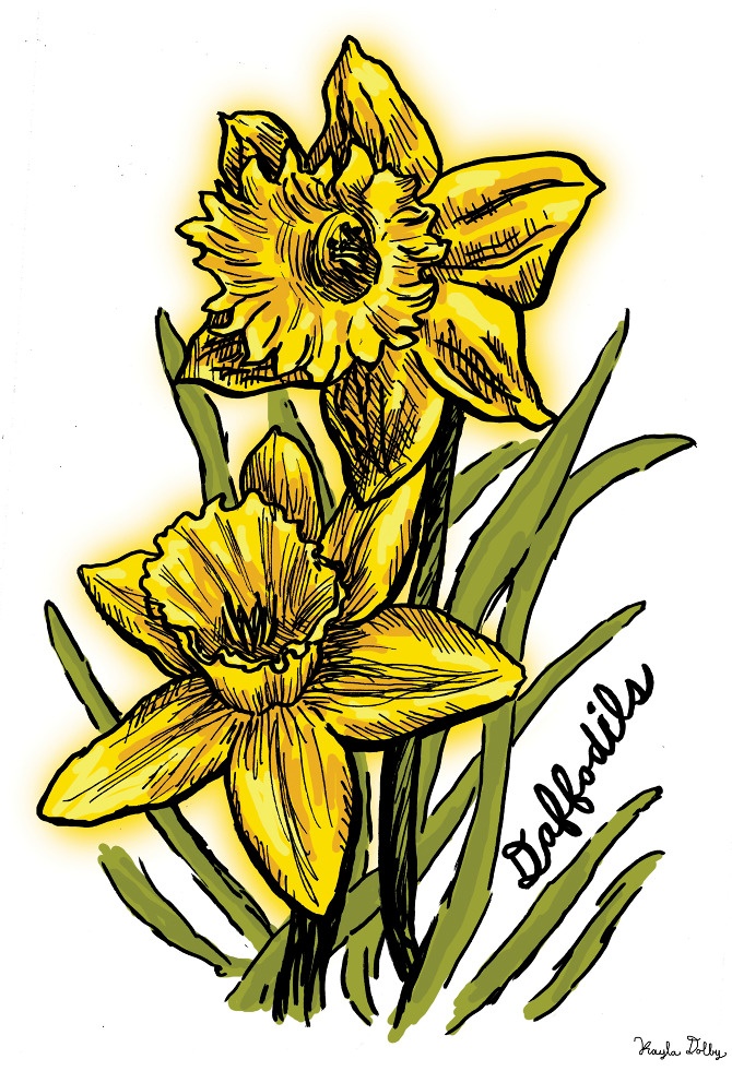 Free Daffodils Images, Download Free Clip Art, Free Clip Art on Clipart ...