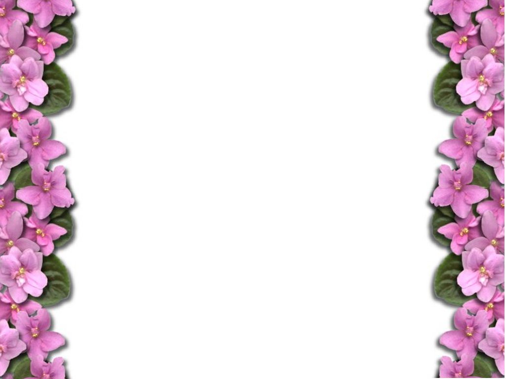 border flowers hd - Clip Art Library