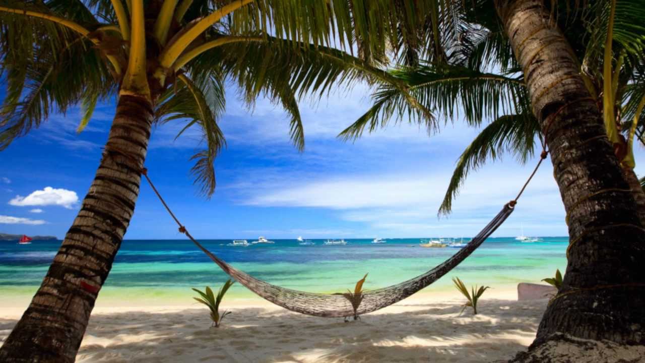 hammock tropical beach - Clip Art Library